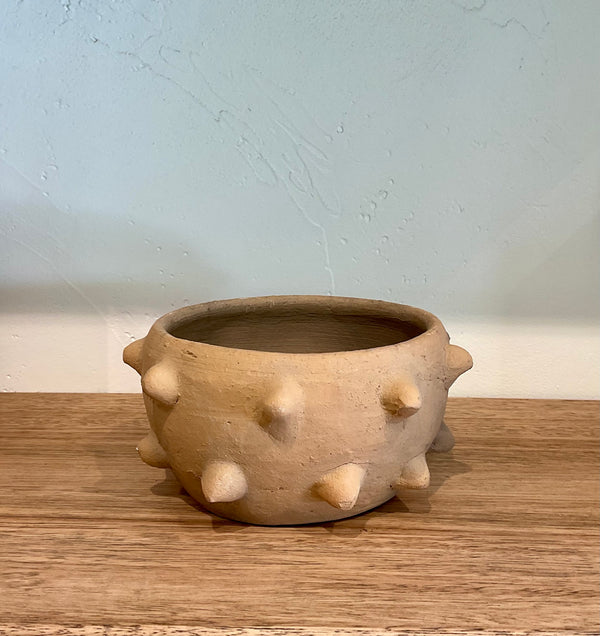 OAX Spikey Pot