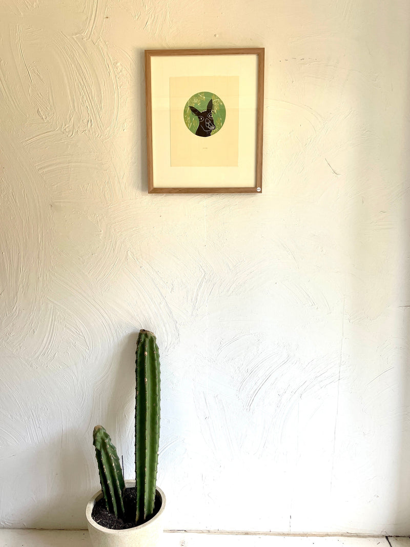 SRDLM Framed Mexican Art